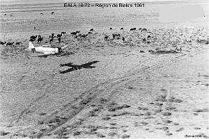 190- ARMEE DE L'AIR EN ALGERIE 1945-1962-38 (62)
